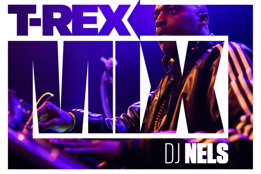 T-REX MIX #2 - DJ NELS